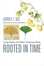 Gee: Rooted in Time